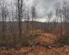 TBD Leaf View Lane, Ellamore, West Virginia 26267, ,Lots/land,For Sale,Leaf View,10157599