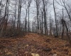 TBD Leaf View Lane, Ellamore, West Virginia 26267, ,Lots/land,For Sale,Leaf View,10157599