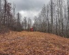 TBD Leaf View Lane, Ellamore, West Virginia 26267, ,Lots/land,For Sale,Leaf View,10157599