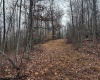 TBD Leaf View Lane, Ellamore, West Virginia 26267, ,Lots/land,For Sale,Leaf View,10157599