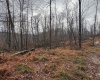 TBD Leaf View Lane, Ellamore, West Virginia 26267, ,Lots/land,For Sale,Leaf View,10157599