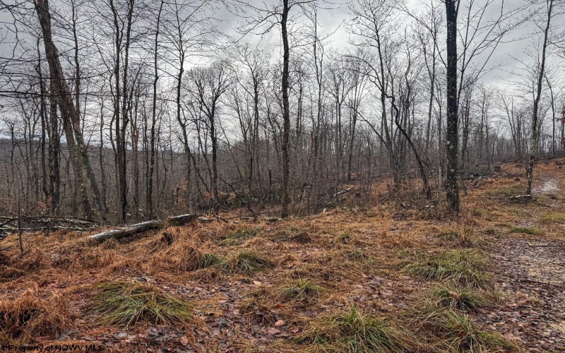 TBD Leaf View Lane, Ellamore, West Virginia 26267, ,Lots/land,For Sale,Leaf View,10157599