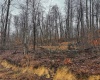 TBD Leaf View Lane, Ellamore, West Virginia 26267, ,Lots/land,For Sale,Leaf View,10157599
