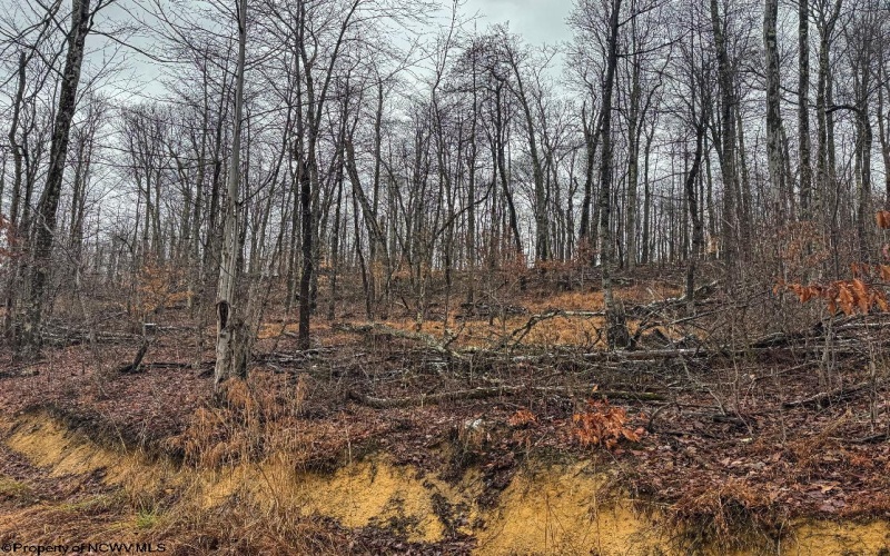 TBD Leaf View Lane, Ellamore, West Virginia 26267, ,Lots/land,For Sale,Leaf View,10157599