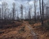 TBD Leaf View Lane, Ellamore, West Virginia 26267, ,Lots/land,For Sale,Leaf View,10157599