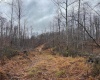 TBD Leaf View Lane, Ellamore, West Virginia 26267, ,Lots/land,For Sale,Leaf View,10157599