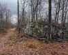 TBD Leaf View Lane, Ellamore, West Virginia 26267, ,Lots/land,For Sale,Leaf View,10157599