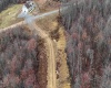 TBD Leaf View Lane, Ellamore, West Virginia 26267, ,Lots/land,For Sale,Leaf View,10157599