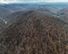 TBD Leaf View Lane, Ellamore, West Virginia 26267, ,Lots/land,For Sale,Leaf View,10157599