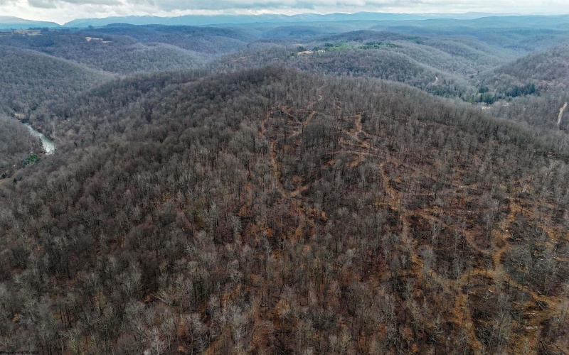 TBD Leaf View Lane, Ellamore, West Virginia 26267, ,Lots/land,For Sale,Leaf View,10157599