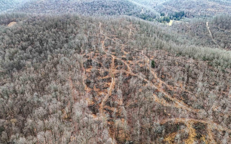TBD Leaf View Lane, Ellamore, West Virginia 26267, ,Lots/land,For Sale,Leaf View,10157599