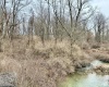 1201 Moyers Road, Bruceton Mills, West Virginia 26525, ,Lots/land,For Sale,Moyers,10157618
