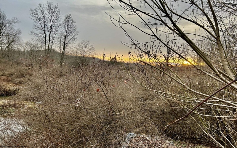 1201 Moyers Road, Bruceton Mills, West Virginia 26525, ,Lots/land,For Sale,Moyers,10157618