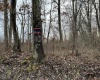 1201 Moyers Road, Bruceton Mills, West Virginia 26525, ,Lots/land,For Sale,Moyers,10157618