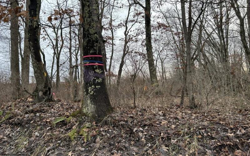 1201 Moyers Road, Bruceton Mills, West Virginia 26525, ,Lots/land,For Sale,Moyers,10157618