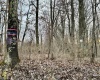 1201 Moyers Road, Bruceton Mills, West Virginia 26525, ,Lots/land,For Sale,Moyers,10157618
