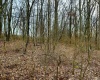 1201 Moyers Road, Bruceton Mills, West Virginia 26525, ,Lots/land,For Sale,Moyers,10157618