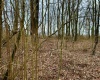 1201 Moyers Road, Bruceton Mills, West Virginia 26525, ,Lots/land,For Sale,Moyers,10157618