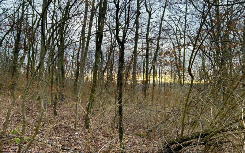 1201 Moyers Road, Bruceton Mills, West Virginia 26525, ,Lots/land,For Sale,Moyers,10157618