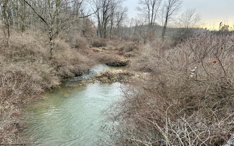 1201 Moyers Road, Bruceton Mills, West Virginia 26525, ,Lots/land,For Sale,Moyers,10157618
