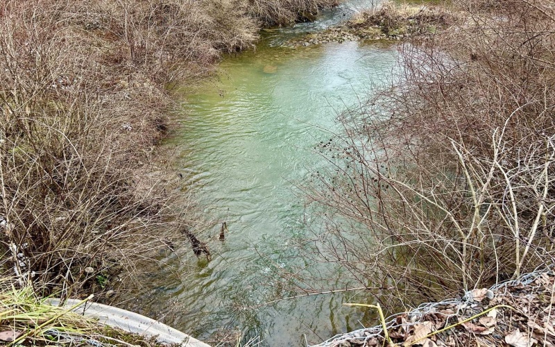 1201 Moyers Road, Bruceton Mills, West Virginia 26525, ,Lots/land,For Sale,Moyers,10157618