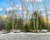116 Laurel Loop, Bruceton Mills, West Virginia 26525, ,Lots/land,For Sale,Laurel,10157625