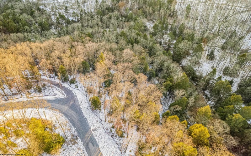 116 Laurel Loop, Bruceton Mills, West Virginia 26525, ,Lots/land,For Sale,Laurel,10157625