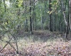 1430 Sand Bank Road, Masontown, West Virginia 26542, ,Lots/land,For Sale,Sand Bank,10157629