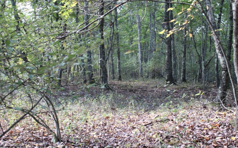 1430 Sand Bank Road, Masontown, West Virginia 26542, ,Lots/land,For Sale,Sand Bank,10157629