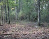 1430 Sand Bank Road, Masontown, West Virginia 26542, ,Lots/land,For Sale,Sand Bank,10157629