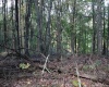 1430 Sand Bank Road, Masontown, West Virginia 26542, ,Lots/land,For Sale,Sand Bank,10157629