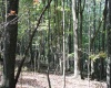 1430 Sand Bank Road, Masontown, West Virginia 26542, ,Lots/land,For Sale,Sand Bank,10157629