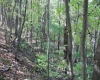 1430 Sand Bank Road, Masontown, West Virginia 26542, ,Lots/land,For Sale,Sand Bank,10157629