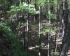 1430 Sand Bank Road, Masontown, West Virginia 26542, ,Lots/land,For Sale,Sand Bank,10157629