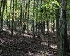 1430 Sand Bank Road, Masontown, West Virginia 26542, ,Lots/land,For Sale,Sand Bank,10157629