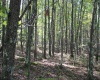 1430 Sand Bank Road, Masontown, West Virginia 26542, ,Lots/land,For Sale,Sand Bank,10157629