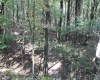 1430 Sand Bank Road, Masontown, West Virginia 26542, ,Lots/land,For Sale,Sand Bank,10157629
