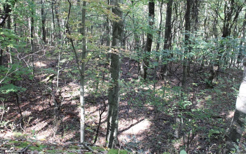 1430 Sand Bank Road, Masontown, West Virginia 26542, ,Lots/land,For Sale,Sand Bank,10157629