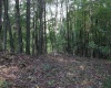 1430 Sand Bank Road, Masontown, West Virginia 26542, ,Lots/land,For Sale,Sand Bank,10157629
