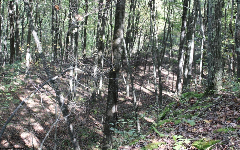 1430 Sand Bank Road, Masontown, West Virginia 26542, ,Lots/land,For Sale,Sand Bank,10157629