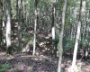 1430 Sand Bank Road, Masontown, West Virginia 26542, ,Lots/land,For Sale,Sand Bank,10157629