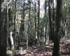 1430 Sand Bank Road, Masontown, West Virginia 26542, ,Lots/land,For Sale,Sand Bank,10157629