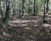 1430 Sand Bank Road, Masontown, West Virginia 26542, ,Lots/land,For Sale,Sand Bank,10157629