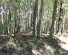 1430 Sand Bank Road, Masontown, West Virginia 26542, ,Lots/land,For Sale,Sand Bank,10157629