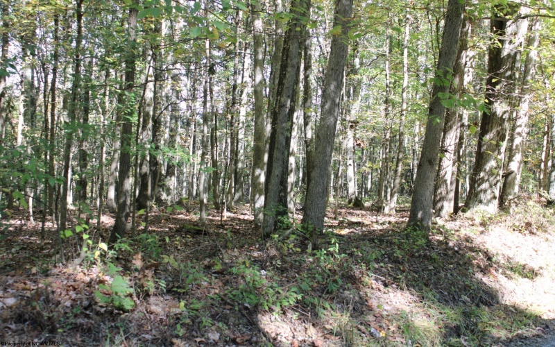1430 Sand Bank Road, Masontown, West Virginia 26542, ,Lots/land,For Sale,Sand Bank,10157629