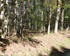 1430 Sand Bank Road, Masontown, West Virginia 26542, ,Lots/land,For Sale,Sand Bank,10157629