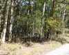 1430 Sand Bank Road, Masontown, West Virginia 26542, ,Lots/land,For Sale,Sand Bank,10157629