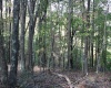 1430 Sand Bank Road, Masontown, West Virginia 26542, ,Lots/land,For Sale,Sand Bank,10157629