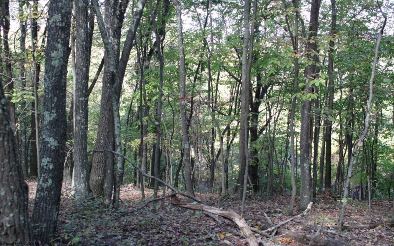 1430 Sand Bank Road, Masontown, West Virginia 26542, ,Lots/land,For Sale,Sand Bank,10157629