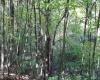 1430 Sand Bank Road, Masontown, West Virginia 26542, ,Lots/land,For Sale,Sand Bank,10157629